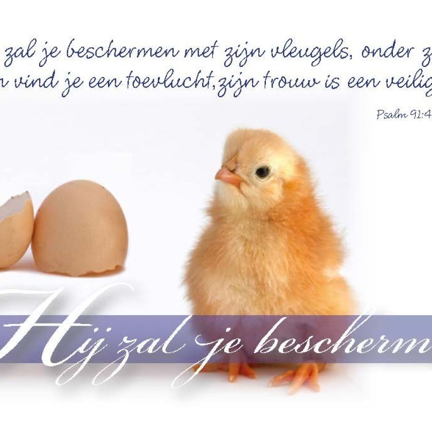 Minikaart Hij zal je beschermen - 46218 -  Minikaartjes bij MajesticAlly