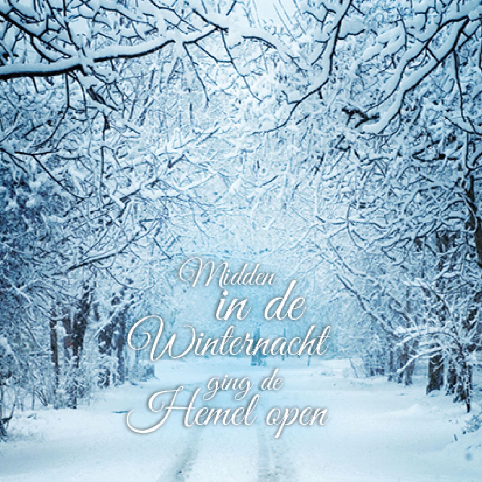 Kerstkaart 'Midden in de winternacht' - MA16003 -  Christelijke kerstkaarten bij MajesticAlly