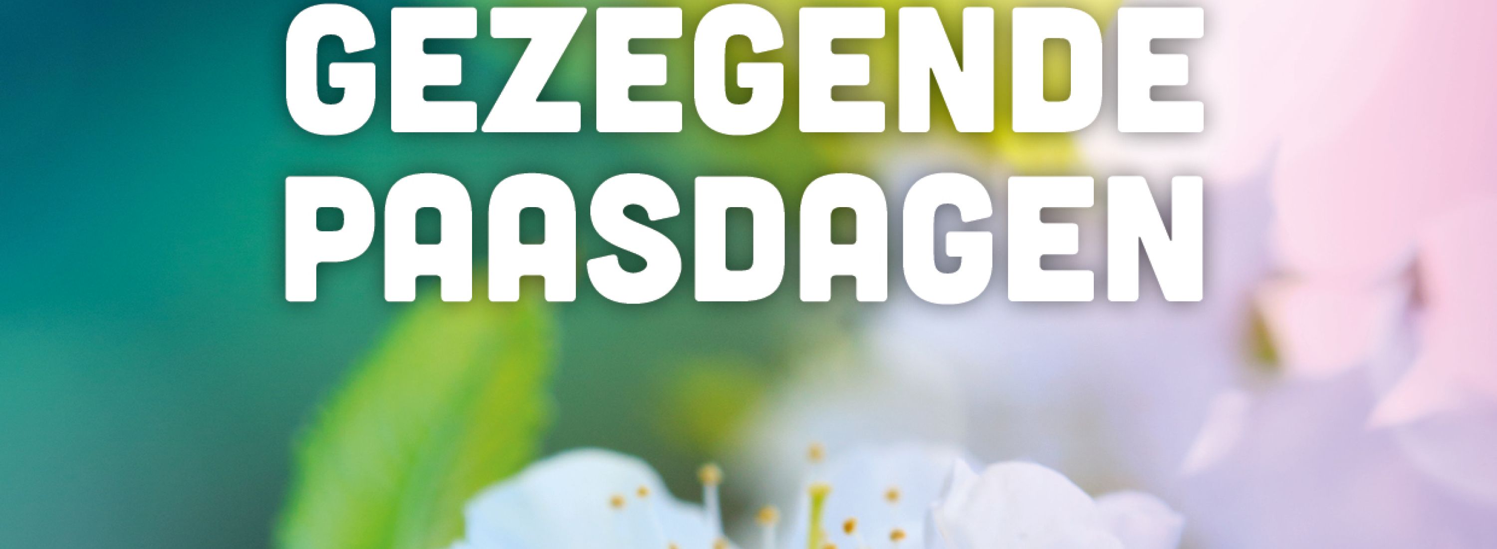 Paaskaarten20217 9b7fdea4