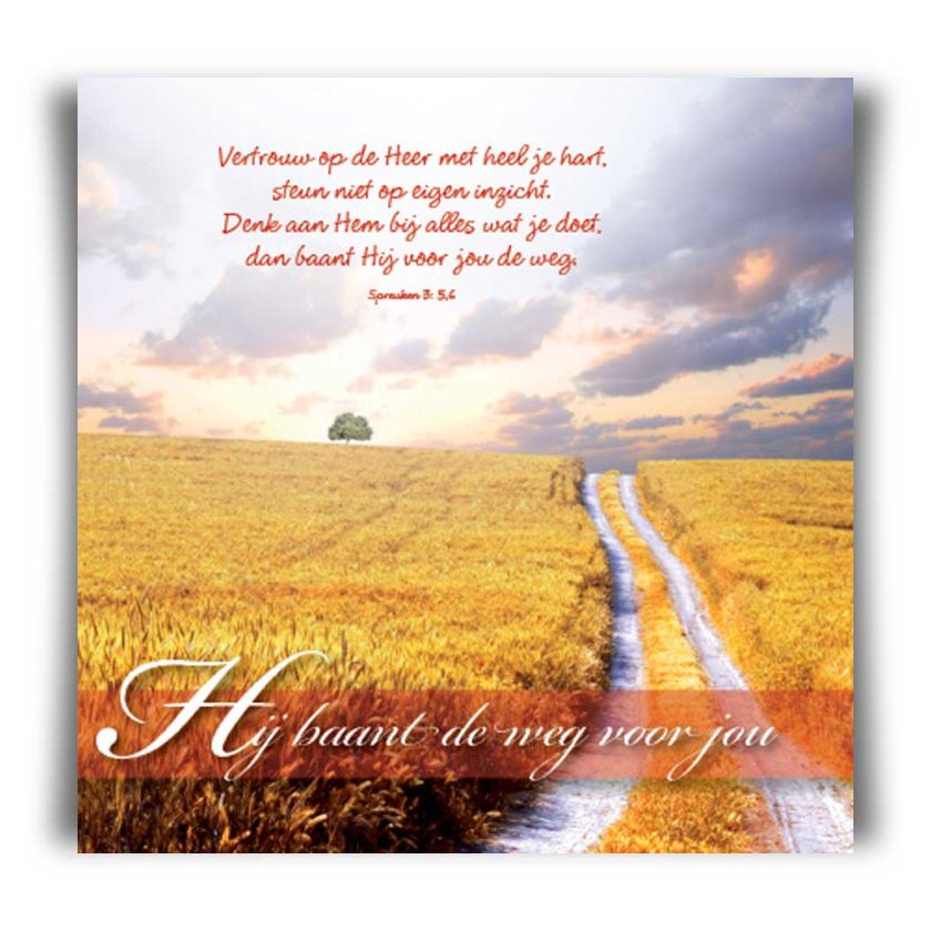 Choice kaartje moge de Here je zegenen - 42031 -  Minikaartjes - vierkant bij MajesticAlly