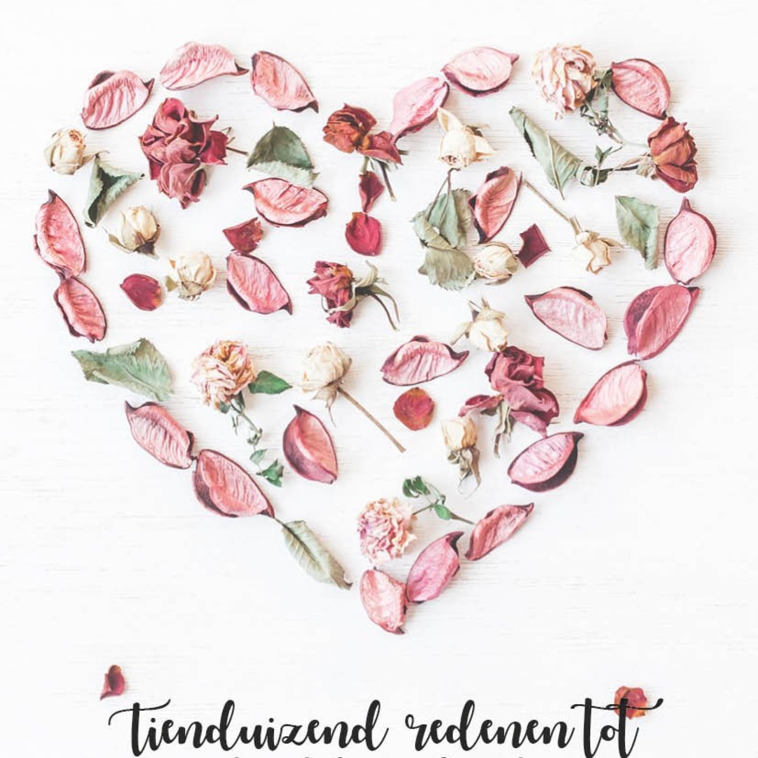 Poster 50x70 tienduizend redenen - MA33209 -  Posters XL  bij MajesticAlly