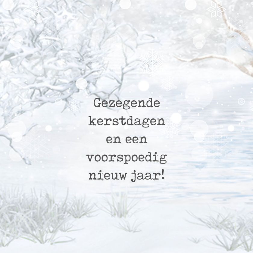 MA41223 - Minikerstkaart 'Besneeuwde takken'