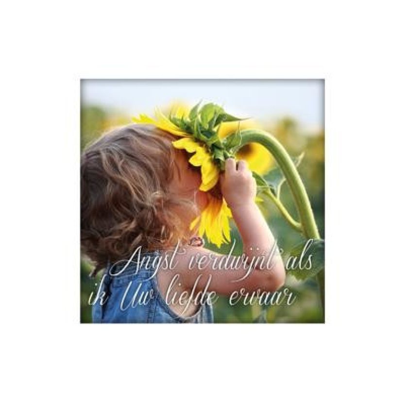 Sponsorpakket  'Living Melodies' voor een bijbel - MA15000S -  Living Melodies bij MajesticAlly