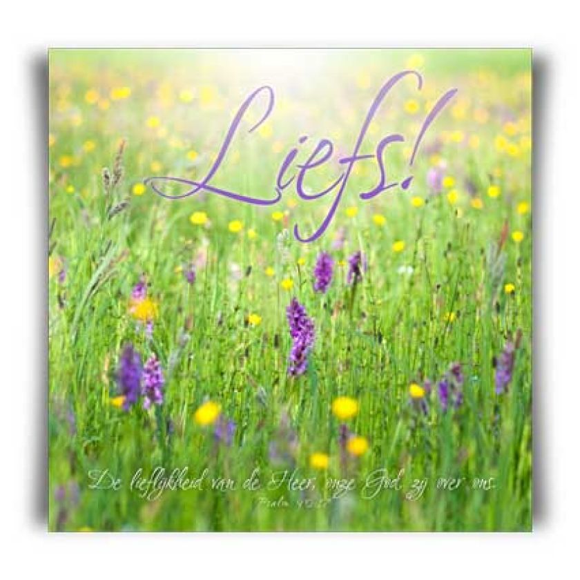 Kaart 'Liefs' - MA11029 -  Valentijn bij MajesticAlly