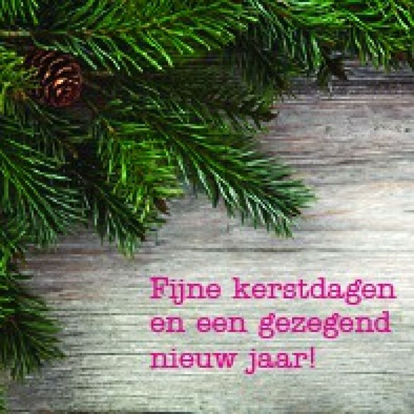 Voordeelpak 8 kerstkaarten (assortie) - MA12097 -  Voordeelpakjes kerst bij MajesticAlly