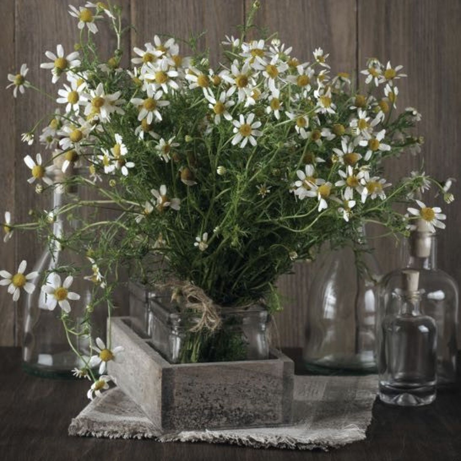 Kaart 'Margrieten' - MA40009 -  Landelijk bij MajesticAlly