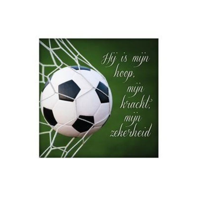 Sponsorpakket  'Living Melodies' voor een bijbel - MA15000S -  Living Melodies bij MajesticAlly