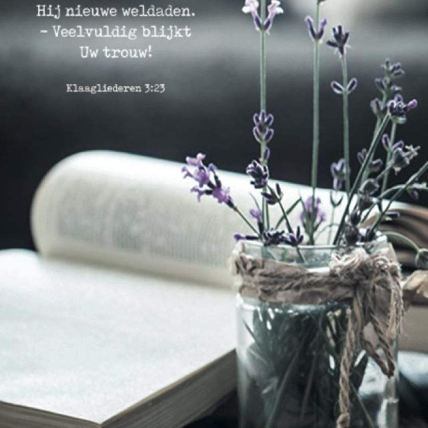 Poster A4 'Elke morgen schenkt Hij nieuwe weldaden' - MA37115 -  Posters A4 bij MajesticAlly