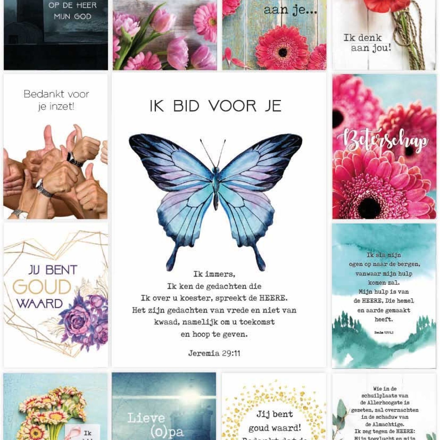 Pakket voordeelkaarten serie 1 - MA38075 -  Voordeelpakjes bij MajesticAlly