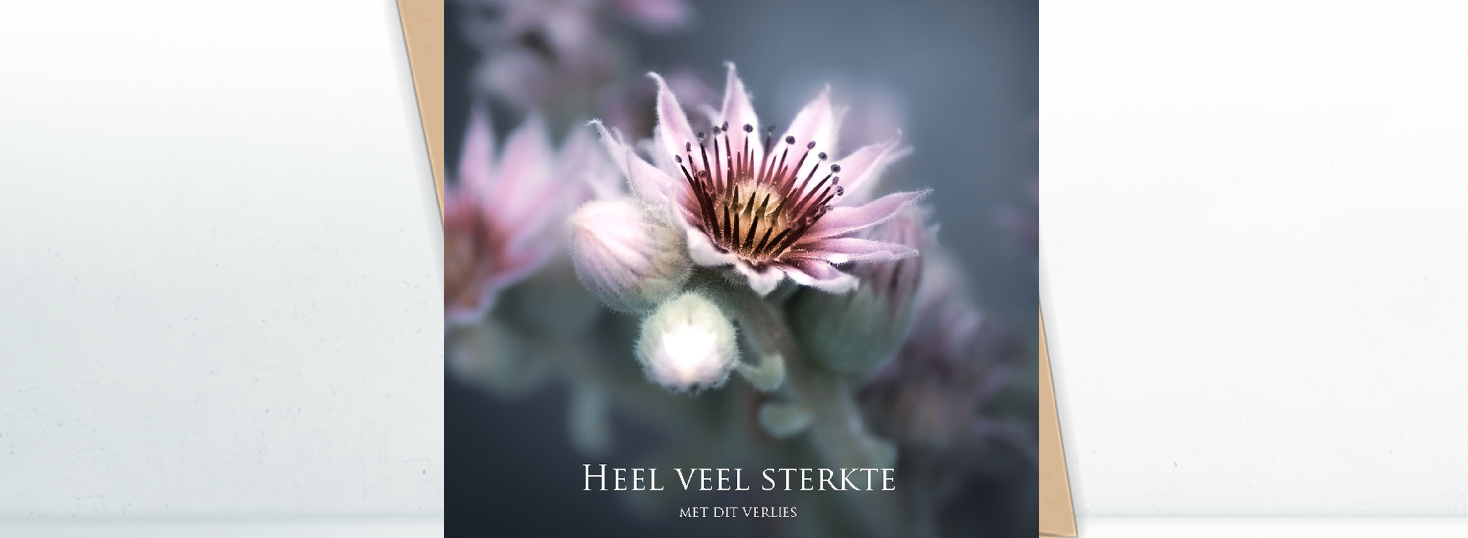 banner STERKTE VERLIES4 a86e7978