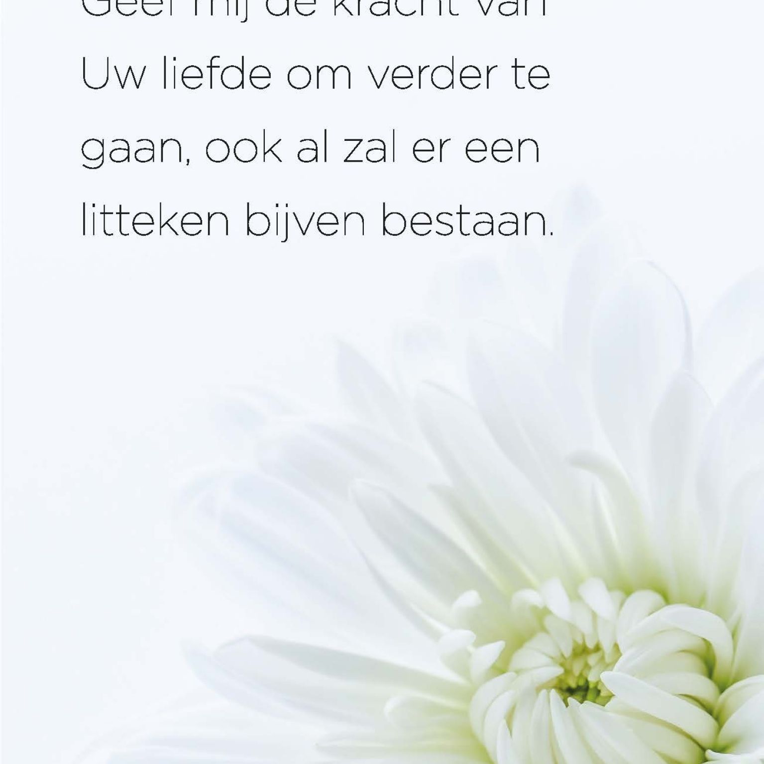 Opwekking 629 - 552667 -  Opwekking bij MajesticAlly