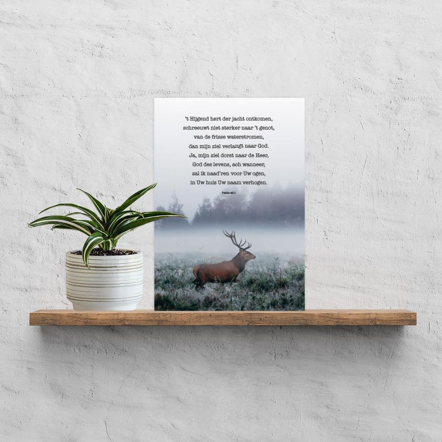 200006182 1 a973dfb1