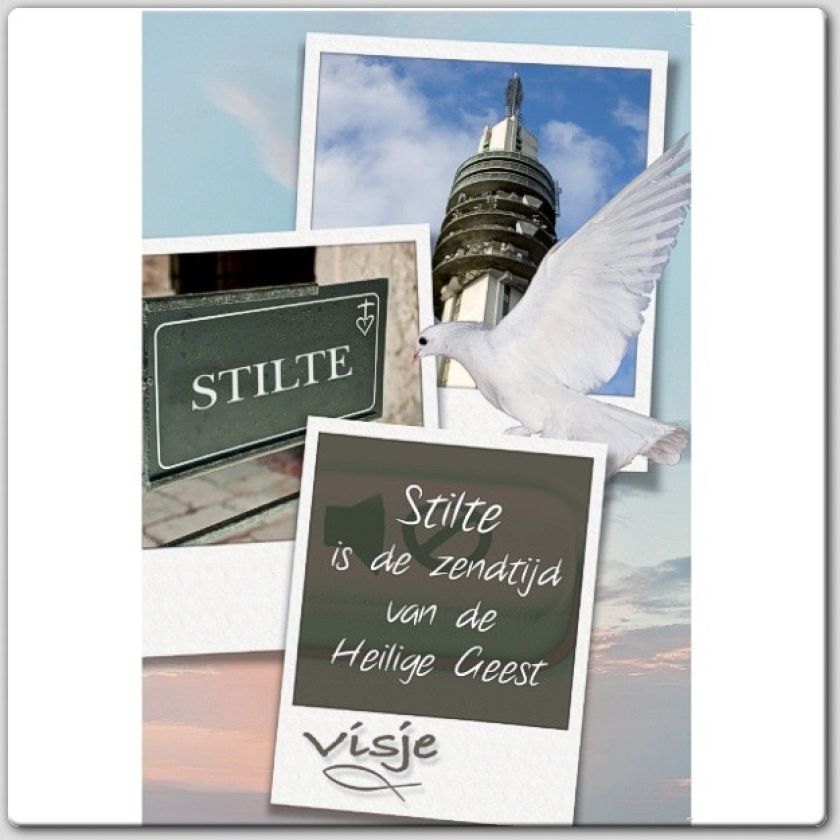 * Voordeelpakket 20 Visje wenskaarten - 46925 -  Pakjes kaarten bij MajesticAlly