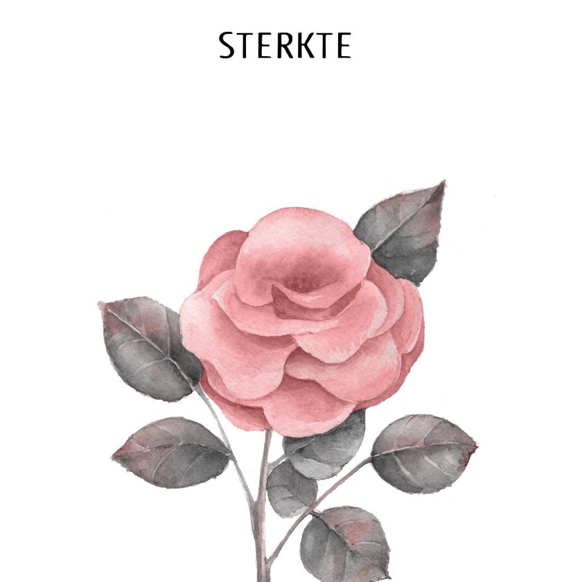 Voordeelpakket 24 kaarten 'Beautiful Day' - MA25300 -  Beautiful Day bij MajesticAlly