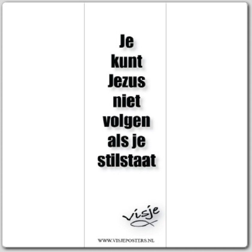 Boekenlegger visje je kunt Jezus niet - 44855 -  Visje bij MajesticAlly