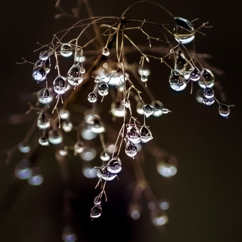 MA34112 - Vierkante wenskaart 'Druppels'