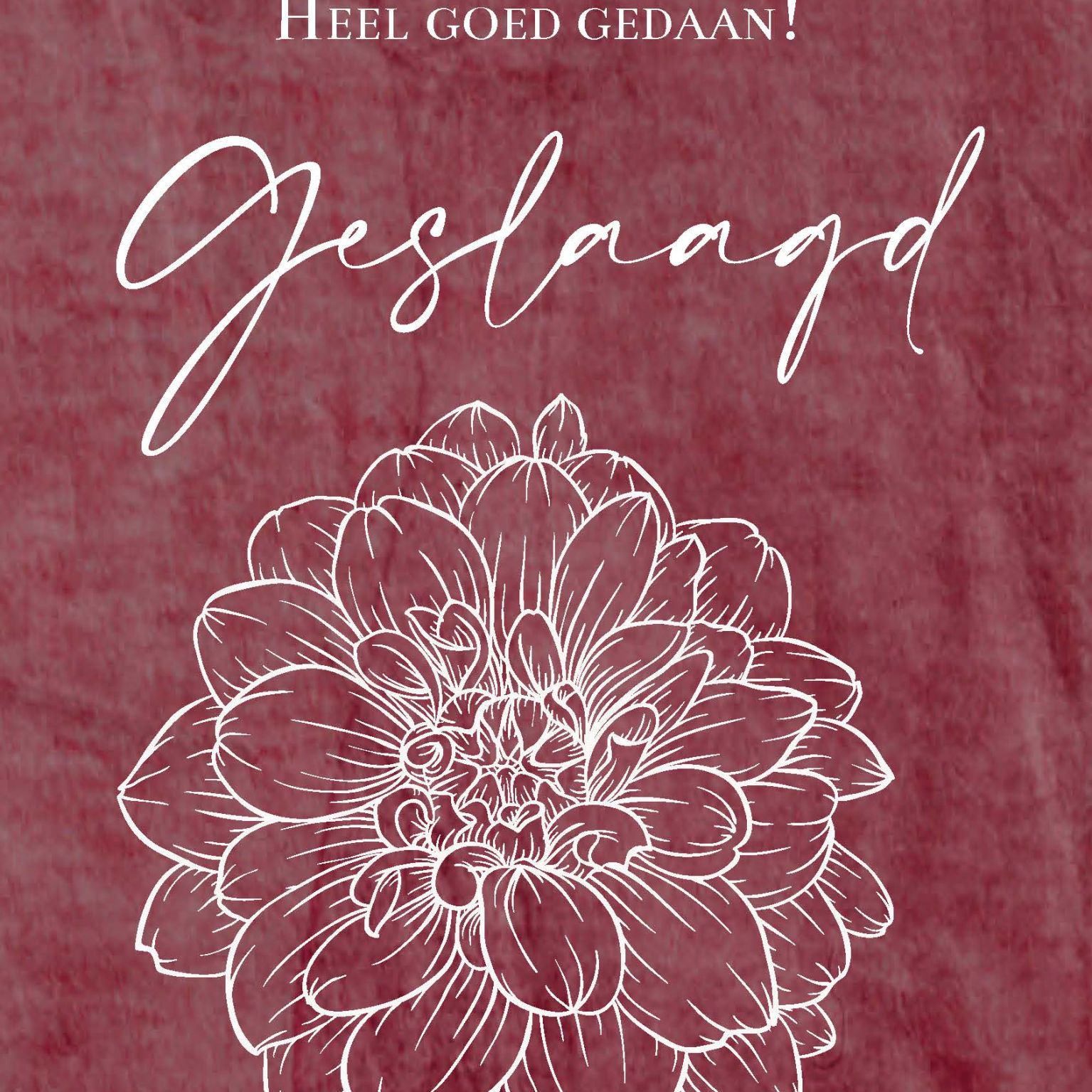 MA55015 - Wenskaart 'Geslaagd'