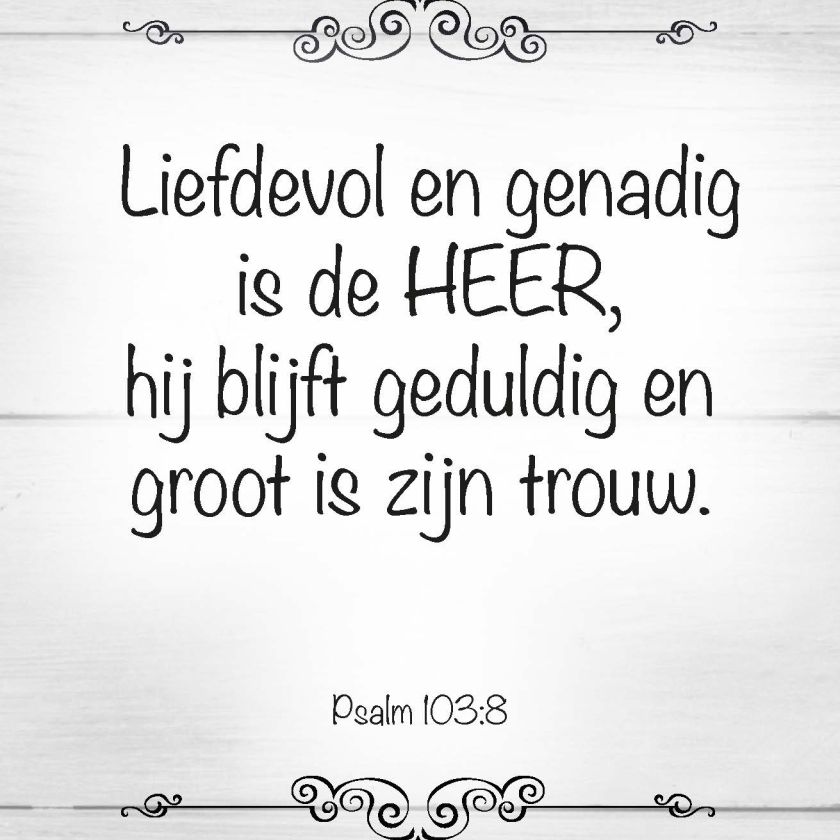 Scheurkalender 365 bijbelse beloften - 9789078893233 -  Kalenders & agenda's bij MajesticAlly