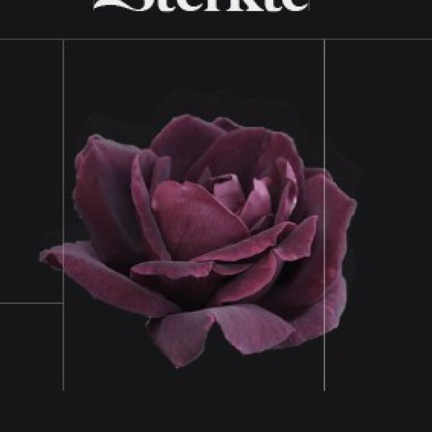 Voordeelpakket PUUR serie A - MA38501 -  Voordeelpakjes bij MajesticAlly