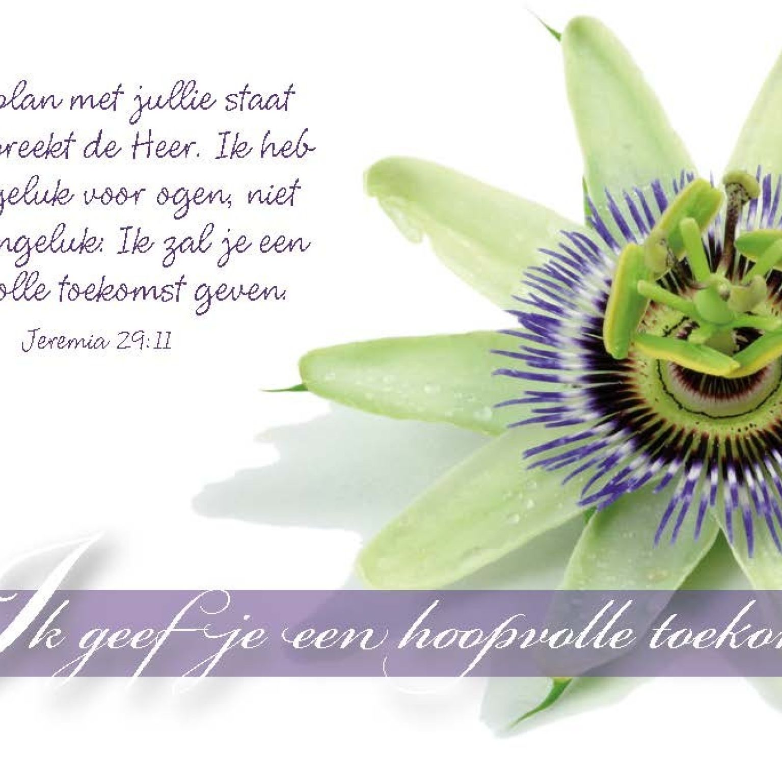 Minikaart Ik geef je een hoopvolle to... - 46223 -  Minikaartjes bij MajesticAlly