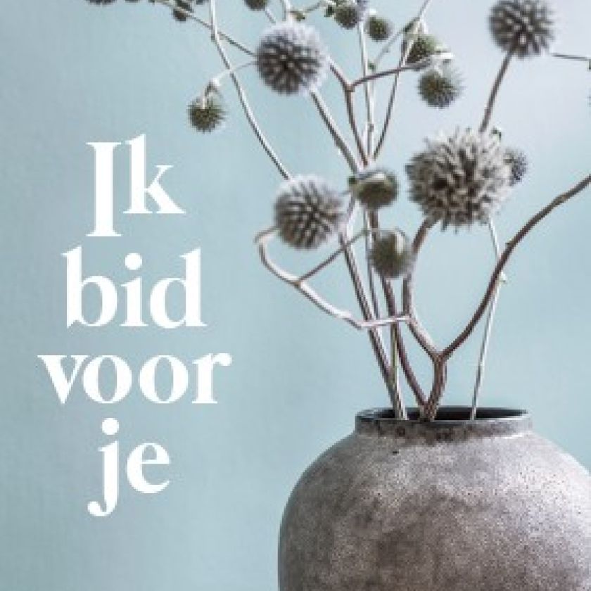 Voordeelpakket PUUR serie B - MA38505 -  Voordeelpakjes bij MajesticAlly