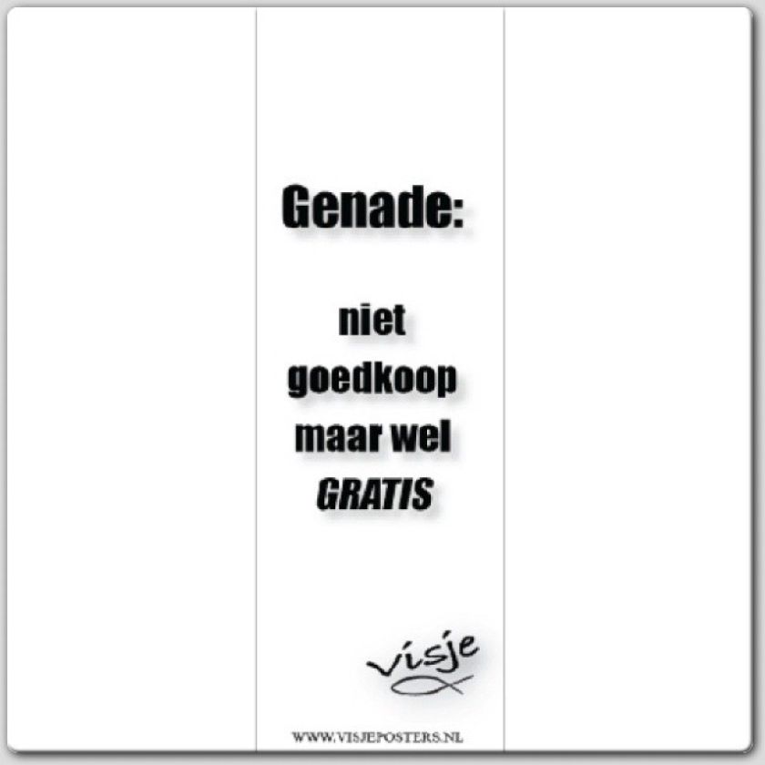 Boekenlegger visje genade niet goedkoop - 44868 -  Visje bij MajesticAlly