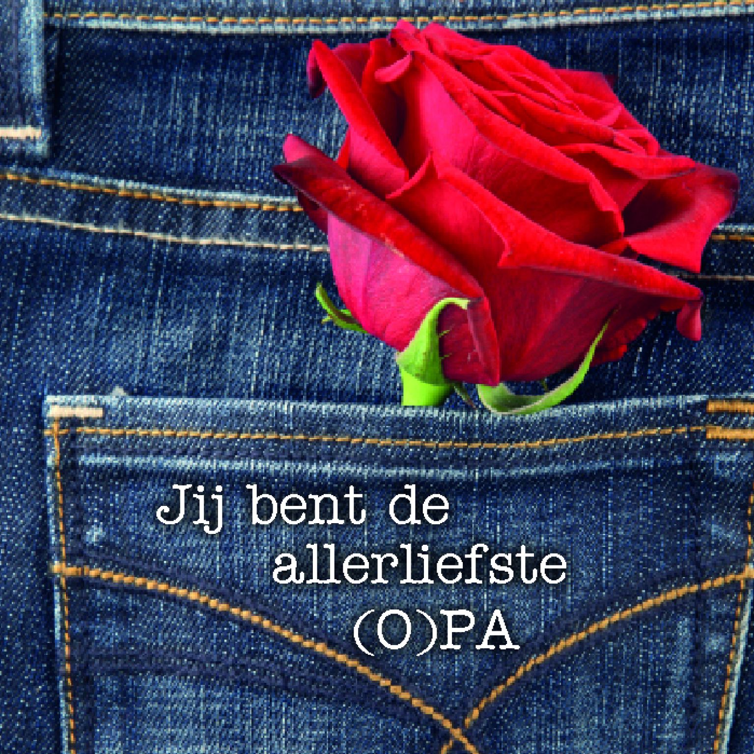 Kaart 'Allerliefste (o)pa' - MA12324 -  Lifestyle bij MajesticAlly