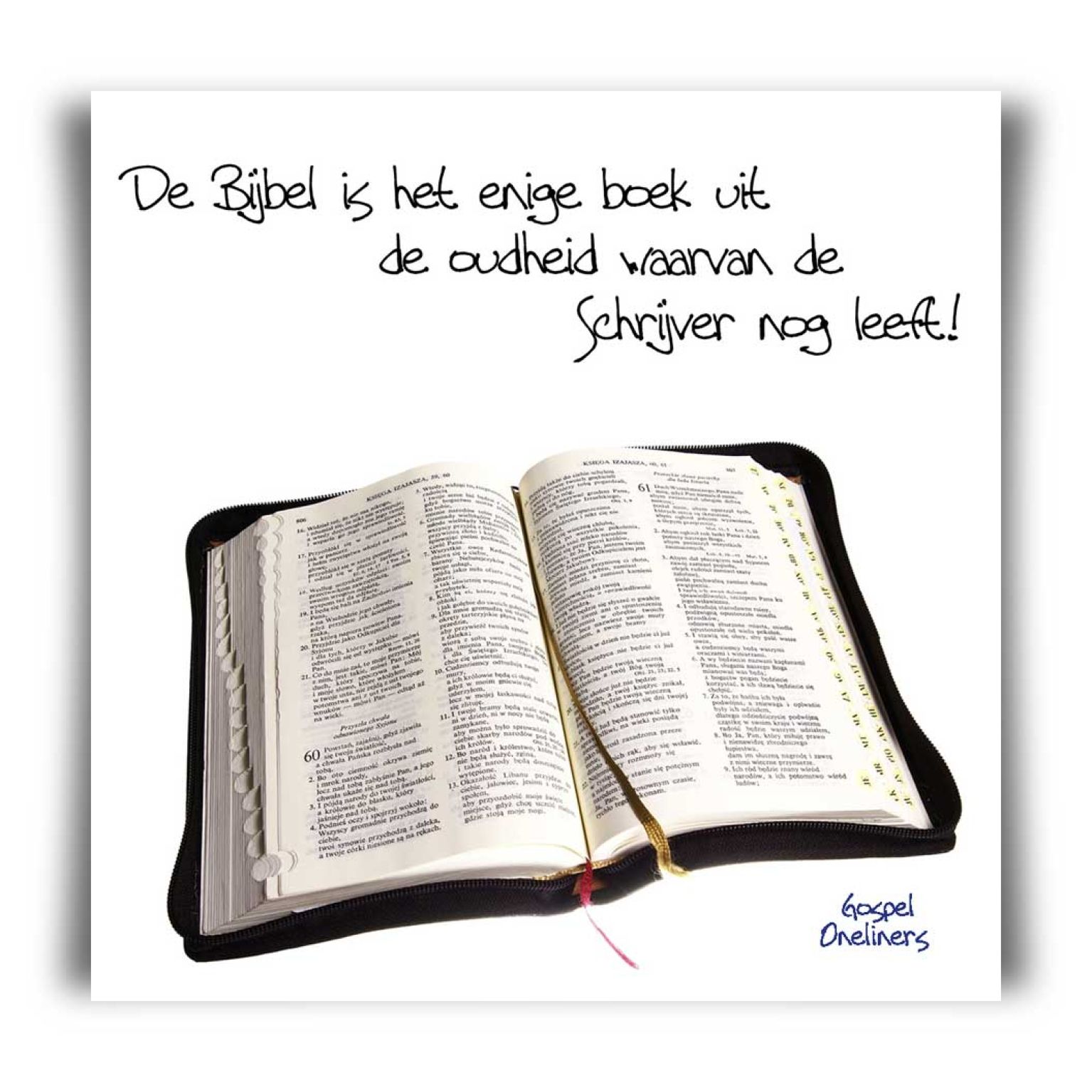 Choice kaartje de bijbel is het enige bo - MA10101 -  Minikaartjes - vierkant bij MajesticAlly