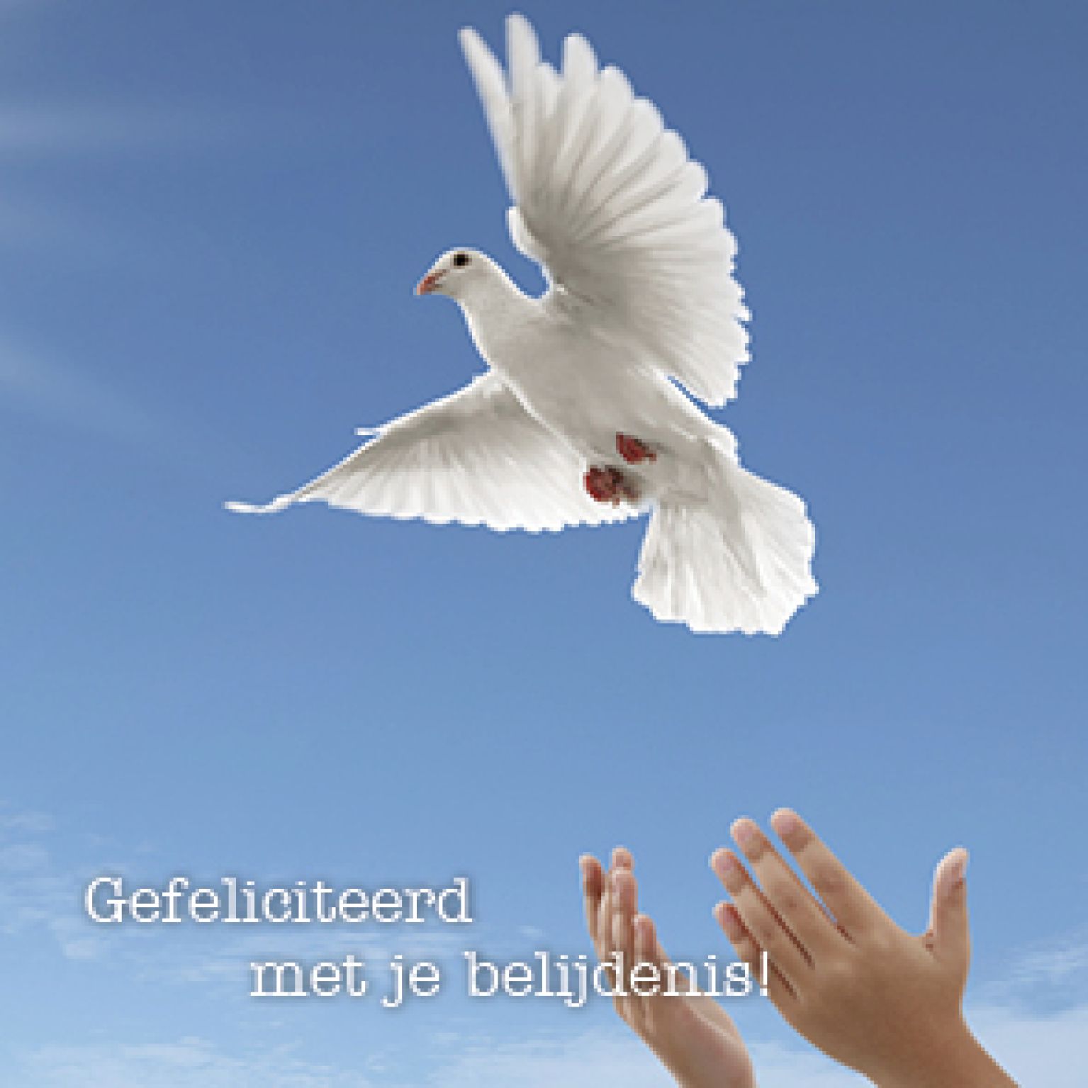 Kaart 'Belijdenis - duif - MA15007 -  Lifestyle bij MajesticAlly