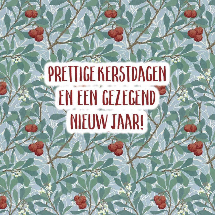 Prettige kerstdagen en een gezegend nieuw jaar