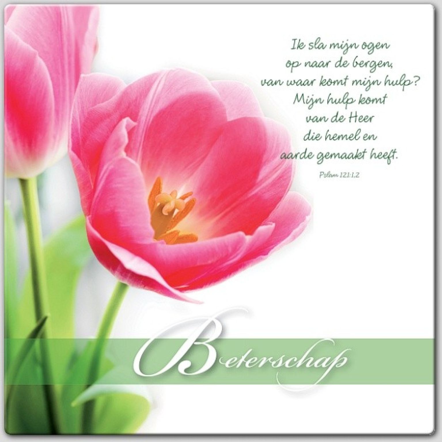 Wenskaart beterschap - 46183 -  Beterschap bij MajesticAlly