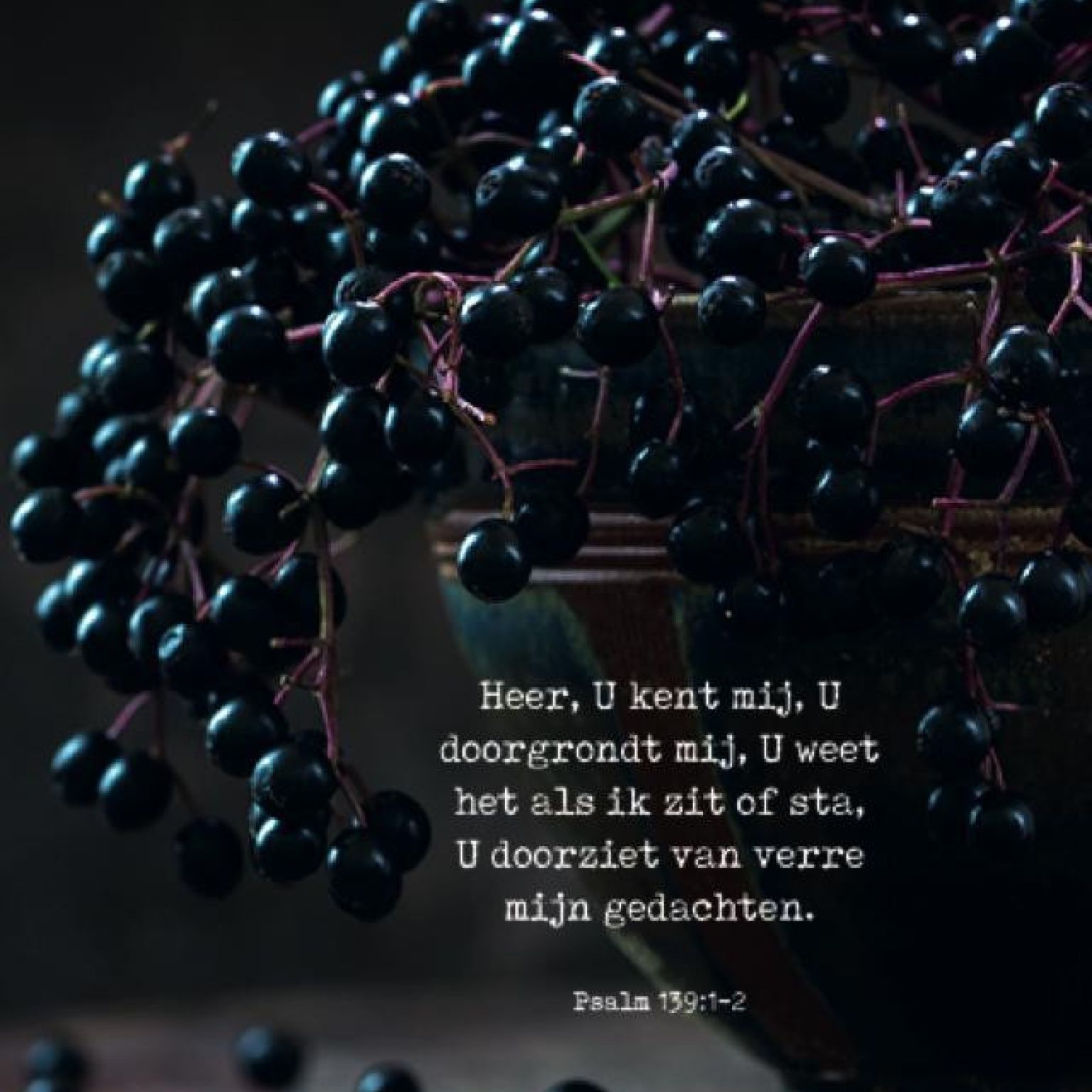 Poster A4 'Heer, U kent mij' - MA37123 -  Posters A4 bij MajesticAlly