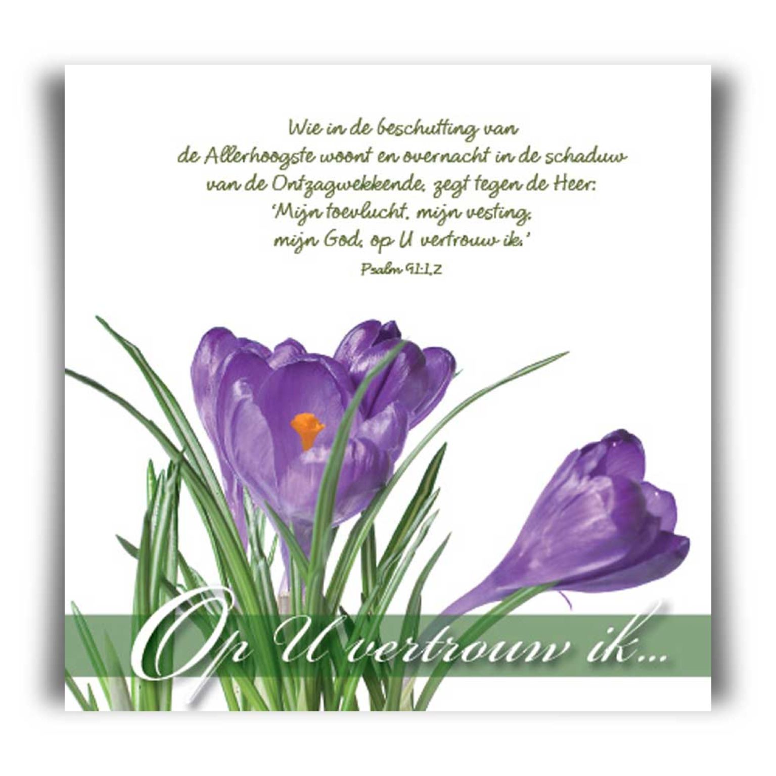 Choice kaartje op U vertrouw ik - 42037 -  Minikaartjes - vierkant bij MajesticAlly