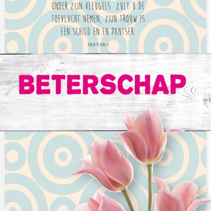 Kaart 'Beterschap - Psalm 91' - MA17017 -  Leef!  bij MajesticAlly