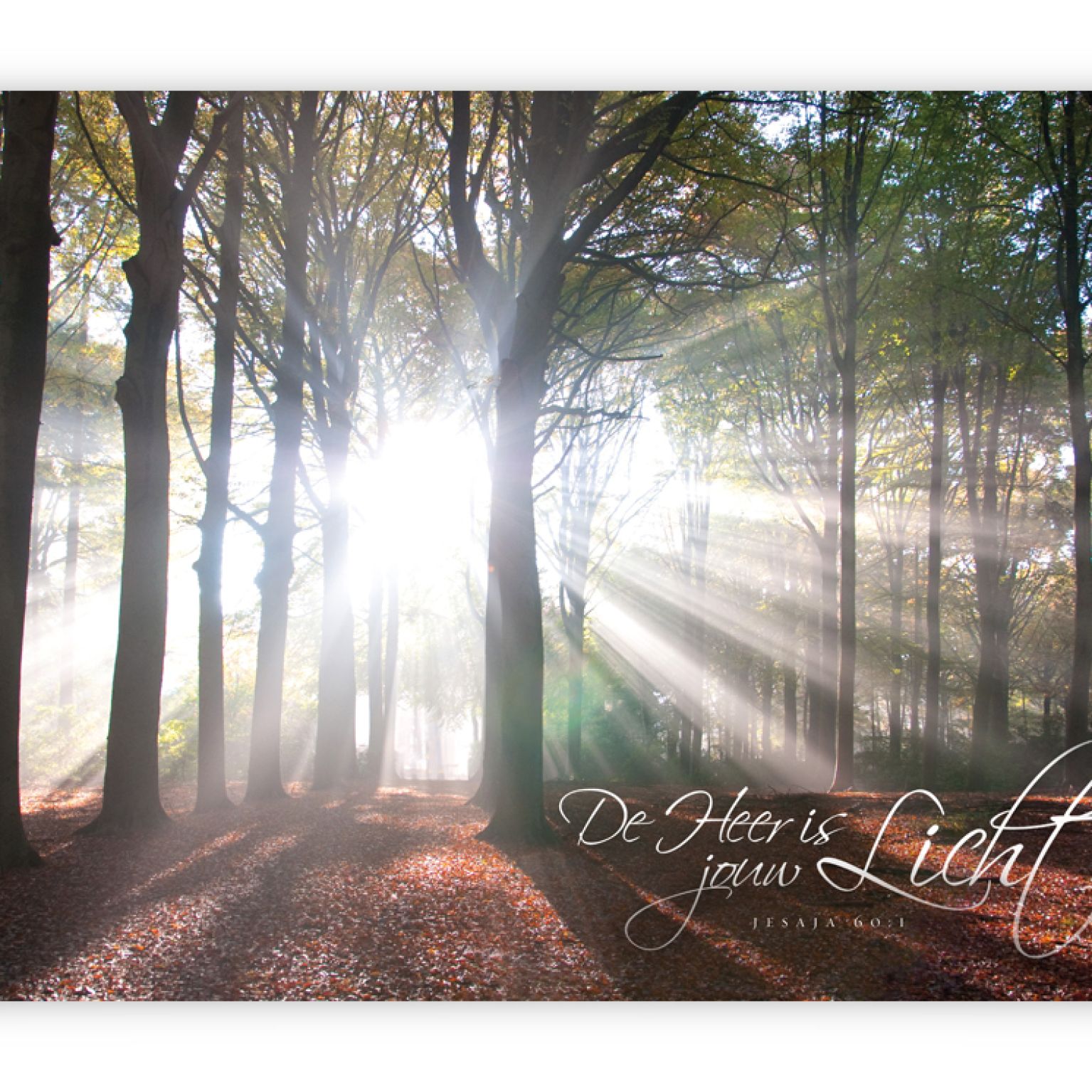 Poster A3 'De Heer is jouw licht' - MA11372 -  Posters A3 bij MajesticAlly