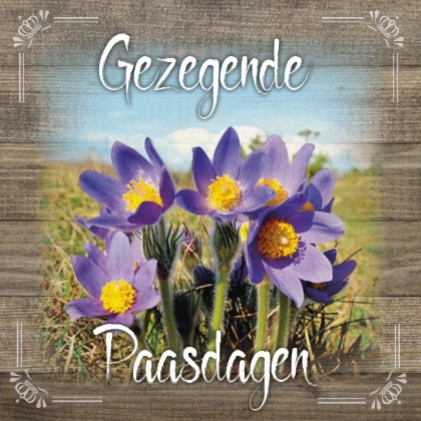 Kaart 'Gezegende paasdagen - paarse bloemen' - MA19046 -  Brocante bij MajesticAlly