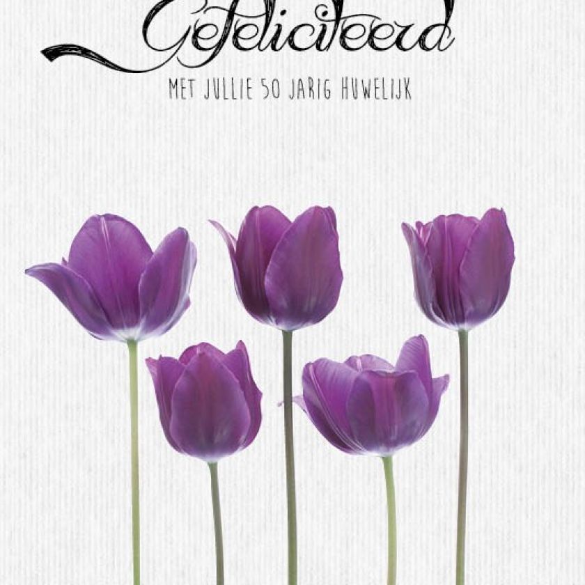 Sponsorpakket 40 kaarten met envelop - MA17000S -  Leef!  bij MajesticAlly