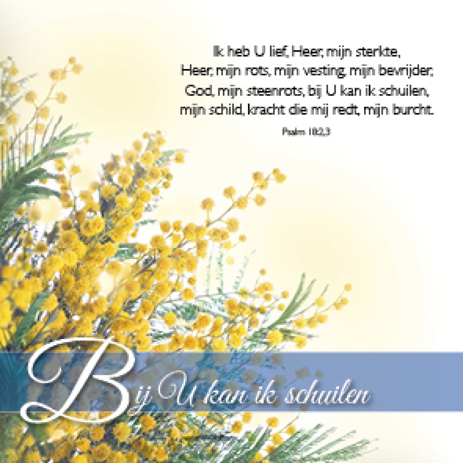 Kaart 'Bij U kan ik schuilen' - MA46105 -  Bemoediging