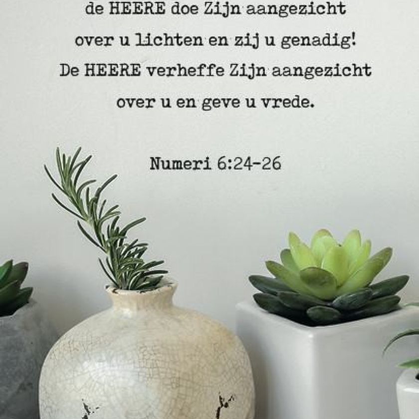 Pakket voordeelkaarten serie 1 - MA38075 -  Voordeelpakjes bij MajesticAlly