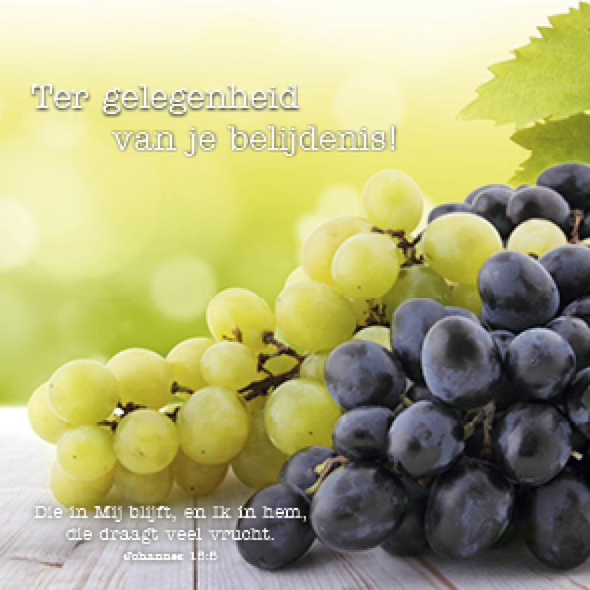 Kaart 'Belijdenis  - Johannes 15' - MA15013 -  Lifestyle bij MajesticAlly