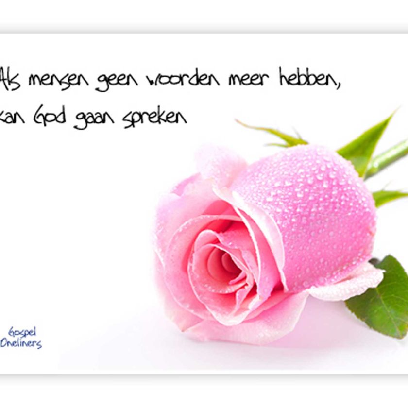 'Als mensen geen woorden meer hebben' - MA10029 -  Quotes