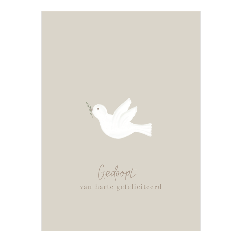 MA58012 KRT gefeliciteerd cadeautjes TP@2x c7315898