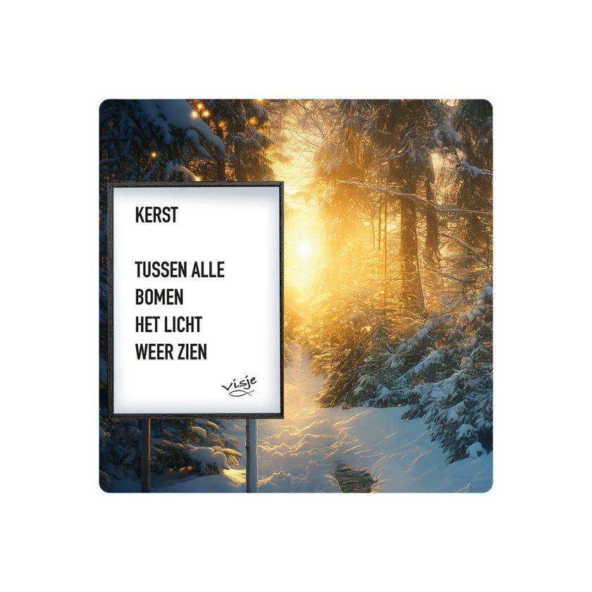 V16018 Visje Cadeaubordjes 15x15 Kerst c724b0f0