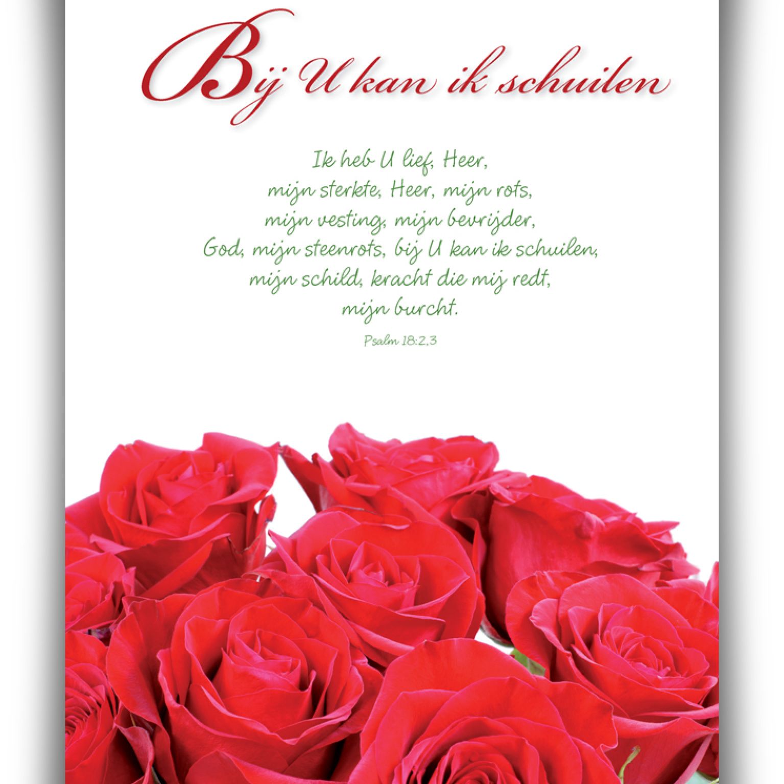 Poster A4 'Bij U kan ik schuilen' - 46811 -  Wanddeco/posters bij MajesticAlly