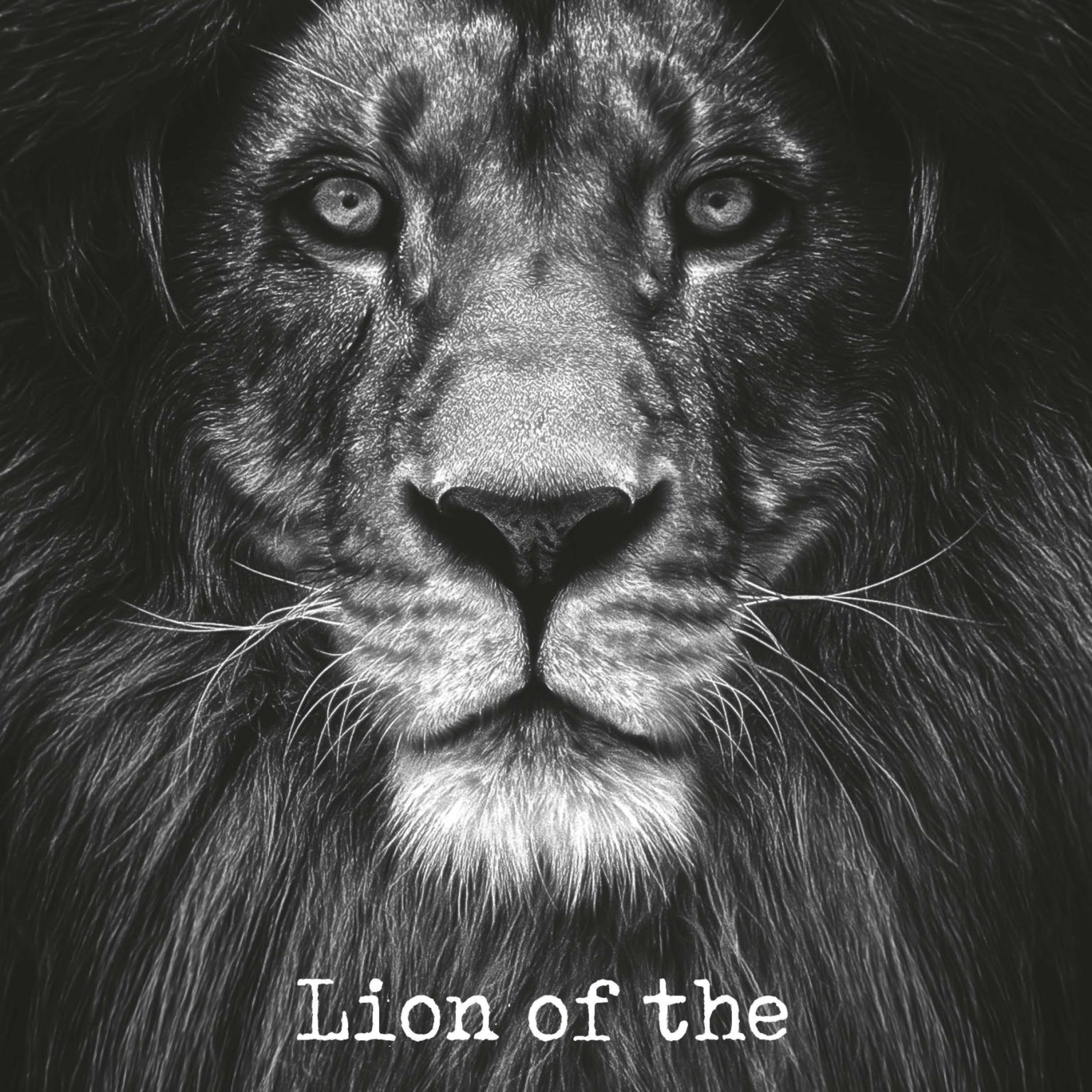 Metal Deco A3 'Lion of the tribe of Judah' - MA11623 -  Metal Deco bij MajesticAlly