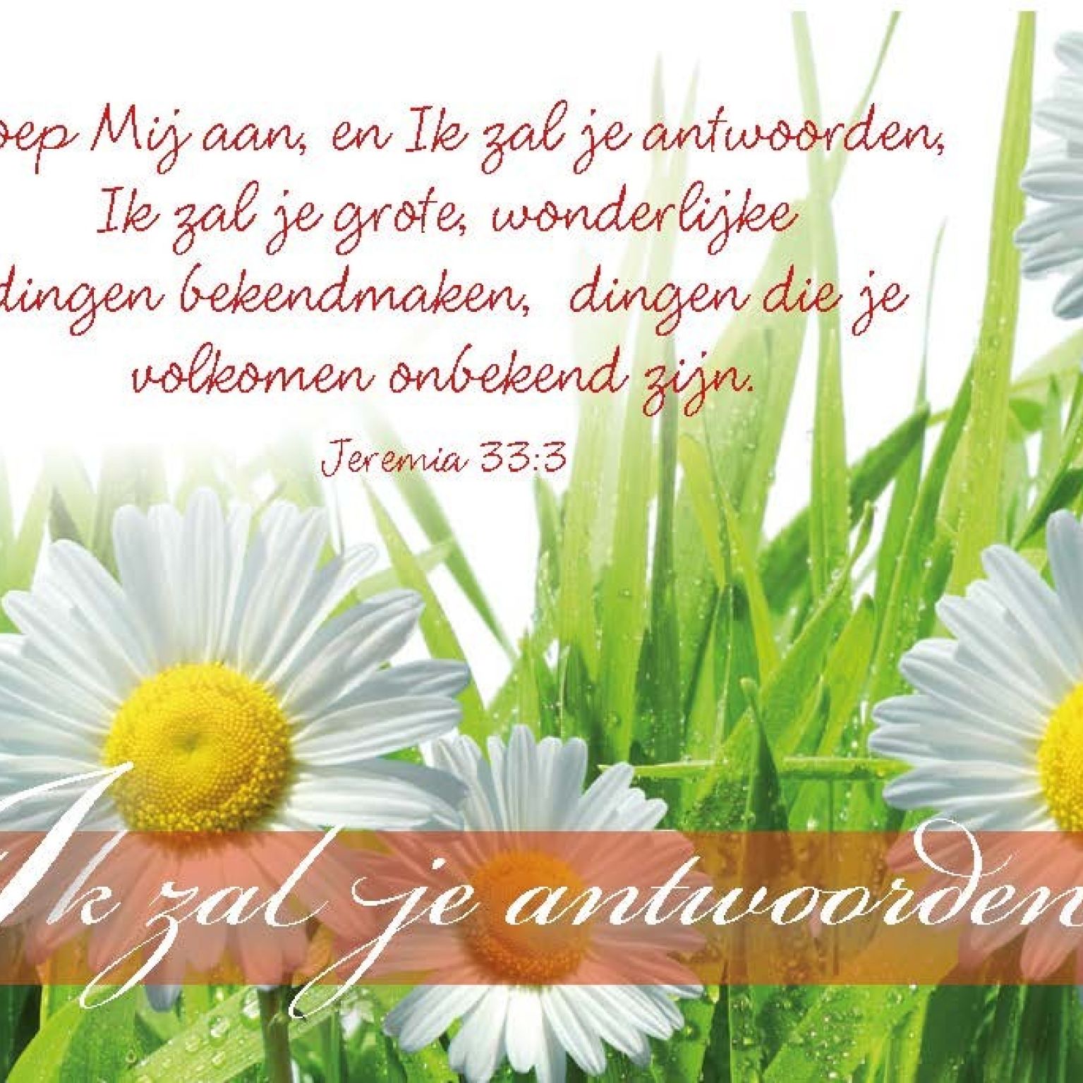 Minikaart Ik zal je antwoorden - 46217 -  Minikaartjes bij MajesticAlly