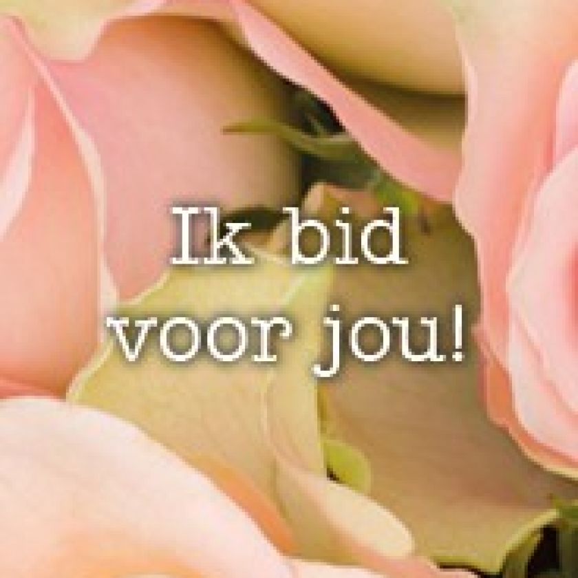 Boekenlegger ik bid voor jou roos - MA15112 -  Lifestyle  bij MajesticAlly