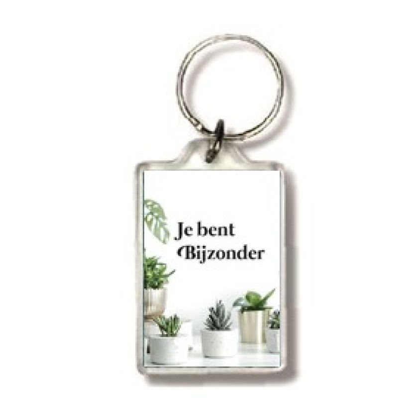 Sleutelhanger Je bent bijzonder - 552625SL -  Puur / Serenity bij MajesticAlly