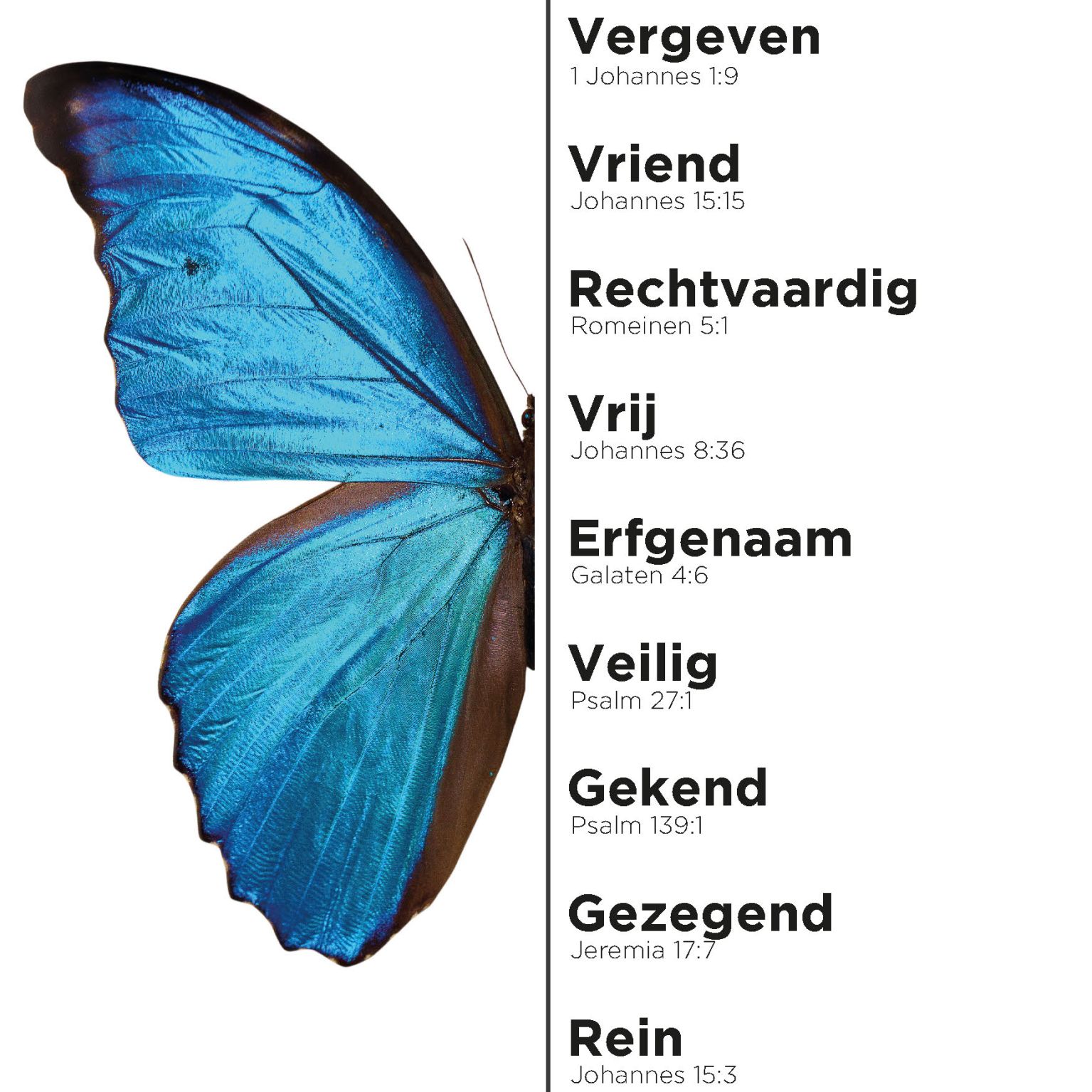 MA11633 - A4-bord Vlinder