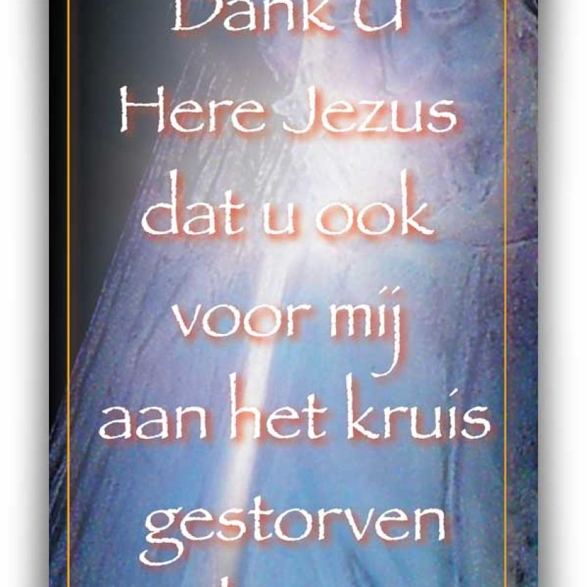 Bemoedigingskaart - 'Dank U Here Jezus' - 44055 -  Kaarten bij MajesticAlly